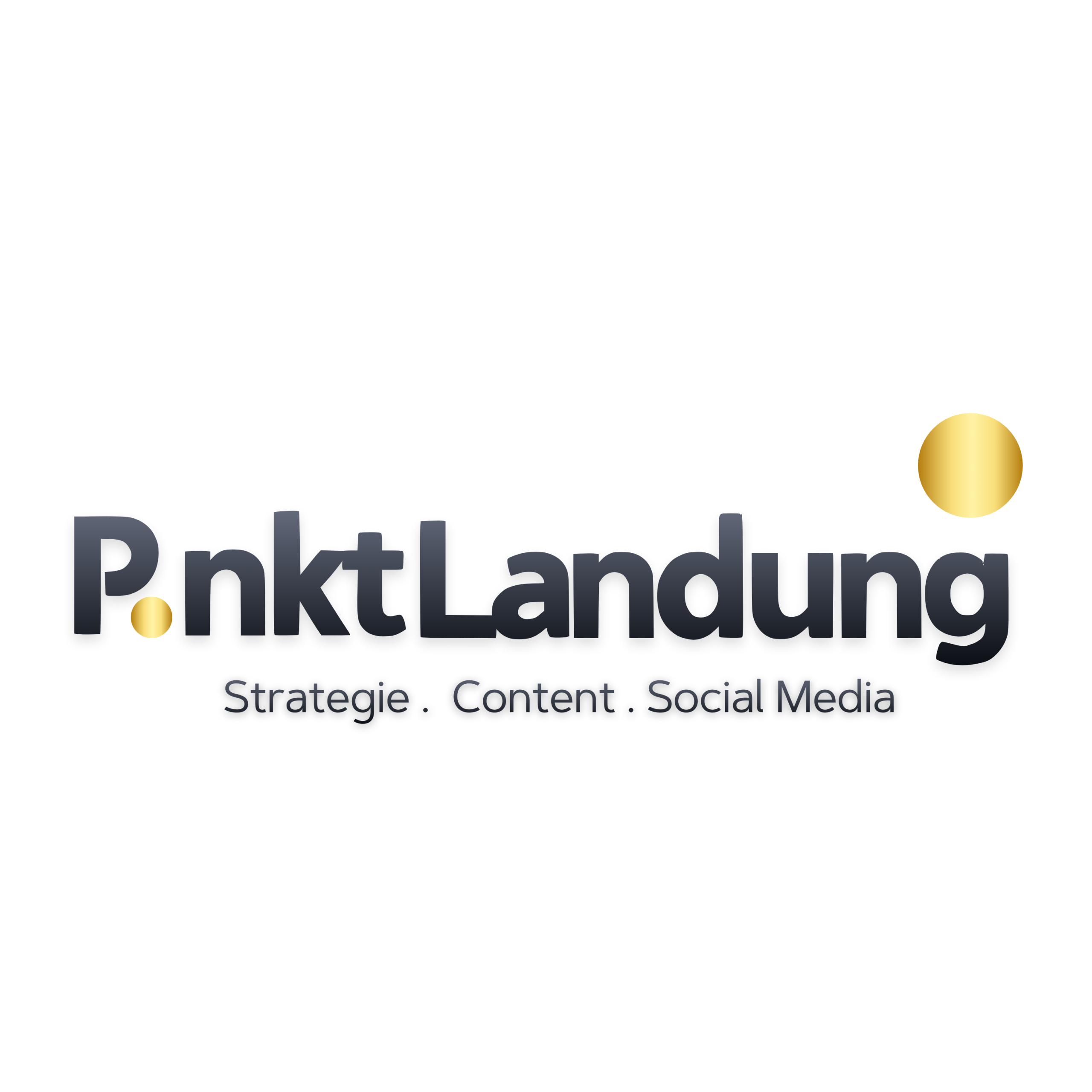 P.nktLandung – Social Media